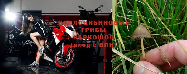 мет Абаза