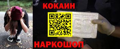 дмт Гай
