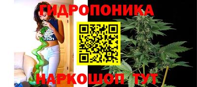 бошки Гатчина