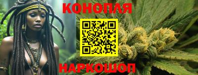 бошки Гатчина
