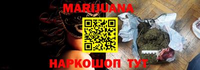 бошки Гатчина
