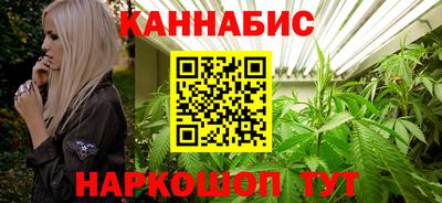 дмт Гай