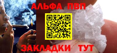 дмт Гай