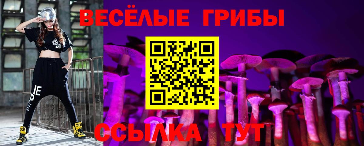 закладки  Галлюциногенные грибы ЛСД  Вход с VPN  Нижнекамск 