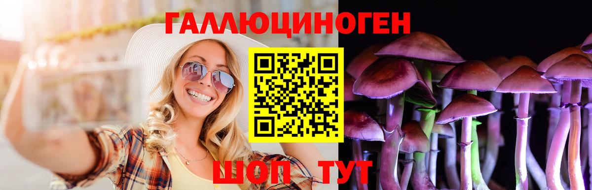 Галлюциногенные грибы GOLDEN TEACHER Нижнекамск
